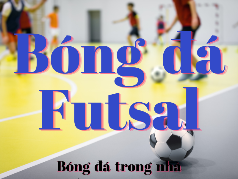 Bóng đá Futsal 